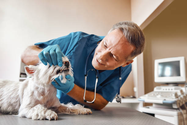  Jacinto City, TX Emergency Dentist Pros